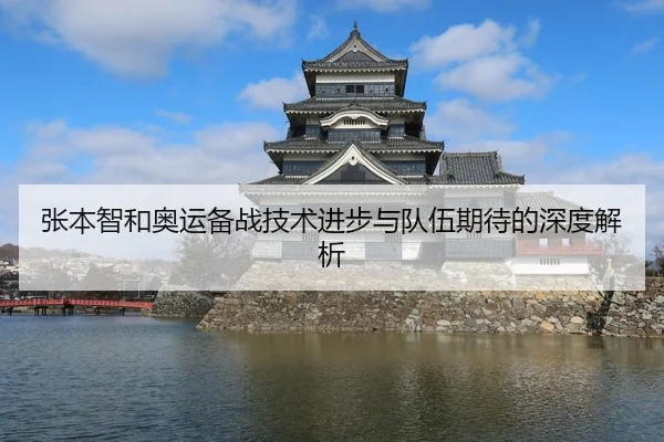 张本智和奥运备战技术进步与队伍期待的深度解析（kaiyun）